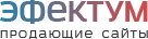 ЭФЕКТУМ - создание и продвижение сайтов